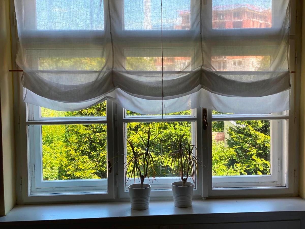 אולומוץ Apartman Flora מראה חיצוני תמונה